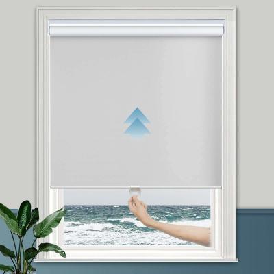 Cordless Blackout Window Shades UV Protection Smart Roller Blinds