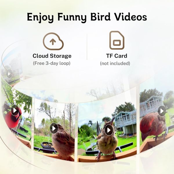 Visible Bird Feeder with 1.5L Large Capacity and Automatic Squirrel Repellent for Continuous Bird Feeding and Protection