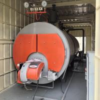 WNS 15 20 toneladas Tubos automáticos de incêndio a gás natural Diesel Combustível a óleo Caldeira a vapor industrial