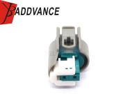 9-967644-1 cinza impermeável 2 Pin Female Connector For Car de TE Connectivity ampère