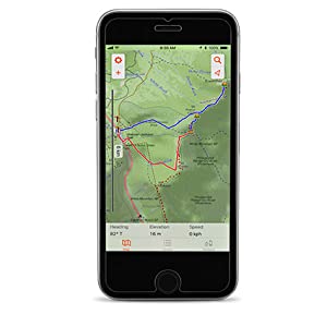Портативный приемник GPS RTK GNSS Garmin GPSMAP 66S с подпиской на спутниковые изображения BirdsEye
