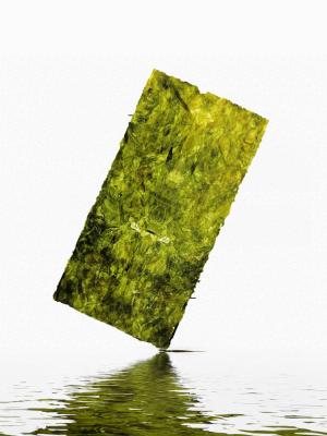 Tempero crocante Crafted de sal do mar de Chips Organic Toasted Nori Seaweed da alga