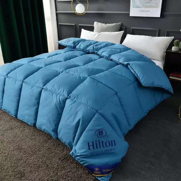 Hilton Duvet Double Spring Autumn Winter Quilt Core and Hot Style for Micro-Business