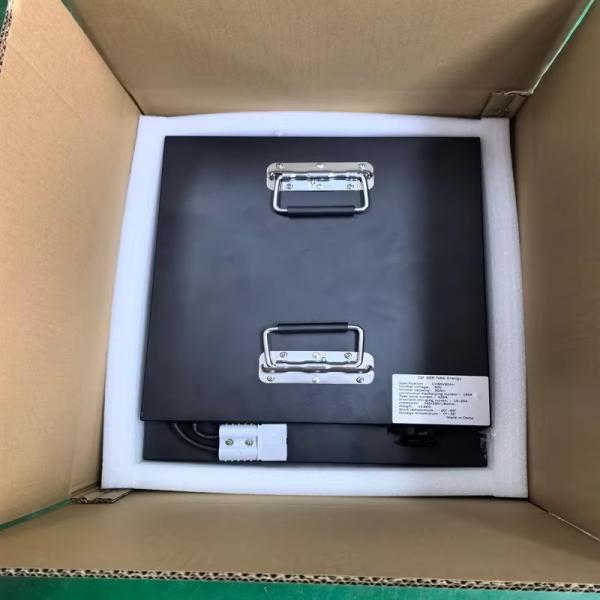 51.2V Lifepo4 Rack Mounted Lithium Battery Household Energy Storage