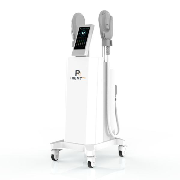 2 Handles Ems Sculpting Machine Postpartum Repair, Ems Muscle Building Machine