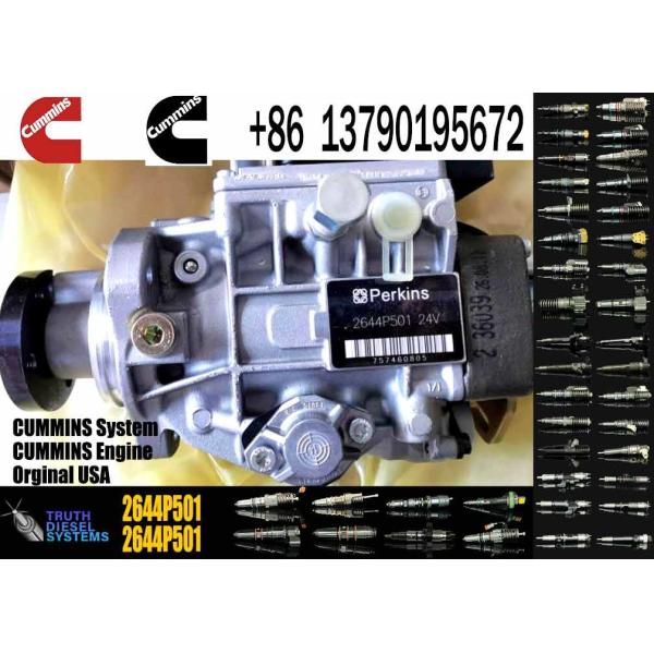 3056E Fuel Injection Pump 2169824 216-9824 2644P501 2644P501R 0470006003 0470006010 0986444518 for Perkins 1106C-E60TA E