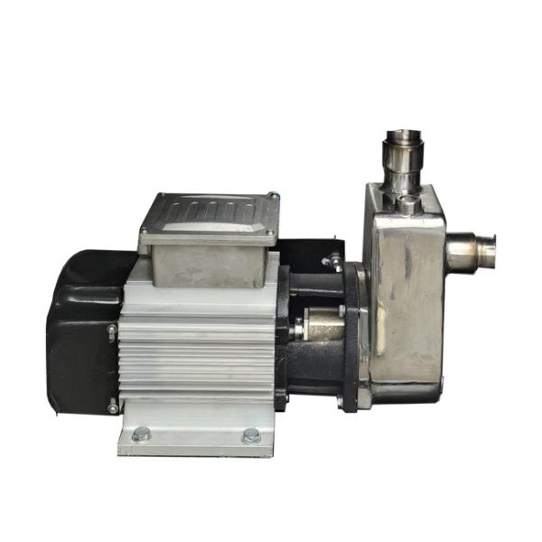 Bernet Durable Anti-corrosion Stainless Steel High Power Electric Adblue Pump for DEF Dispenser