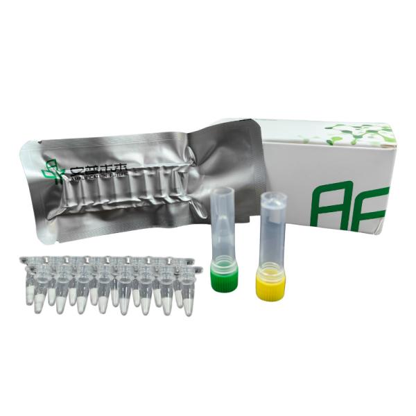 NFO Isothermal PCR Kit Room Temp High Accuracy 14 Months