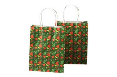 Paper carry bag 01