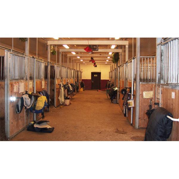 Современные стальные стойлы лошади, отсутствие ворот стойла лошади металла безопасности острых краев