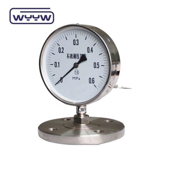 Stainless Steel Capillary Pressure Gauge with 1.5