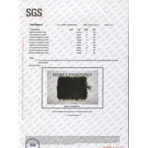 Jiangsu Zhonglian Artificial Turf Co., Ltd Сертификации