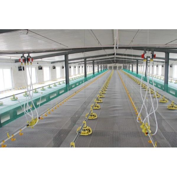 Floor Farming System Broiler Chicken House Poultry Feeders And Drinkers Farm Equipment