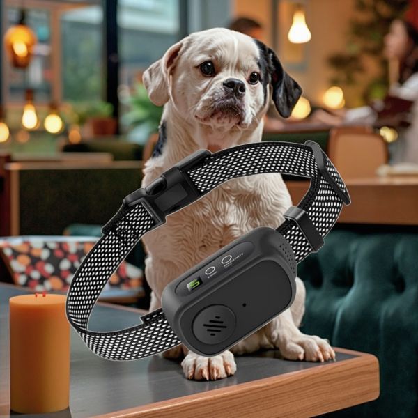 Hot Seller Rechargeable Plastic IP67 Waterproof Electric Shock Vibration Bark Control Dog Voice Activated Anti-Bark Training