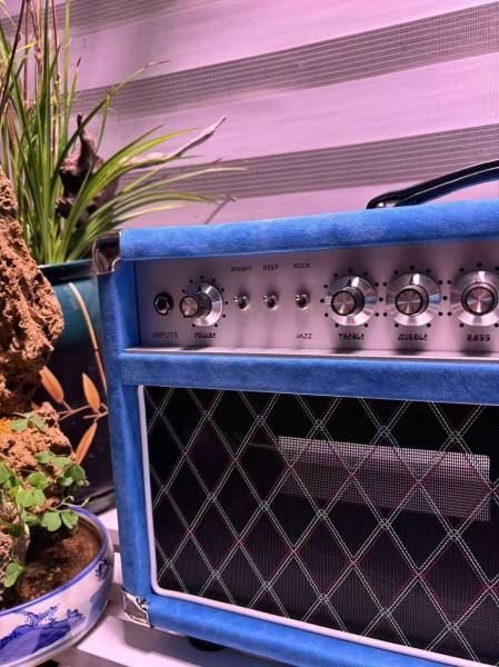Custom D Style Steel String Singer Head 20W 50W 100W with Suede Blue Color, Grand Amplifier SSS Model