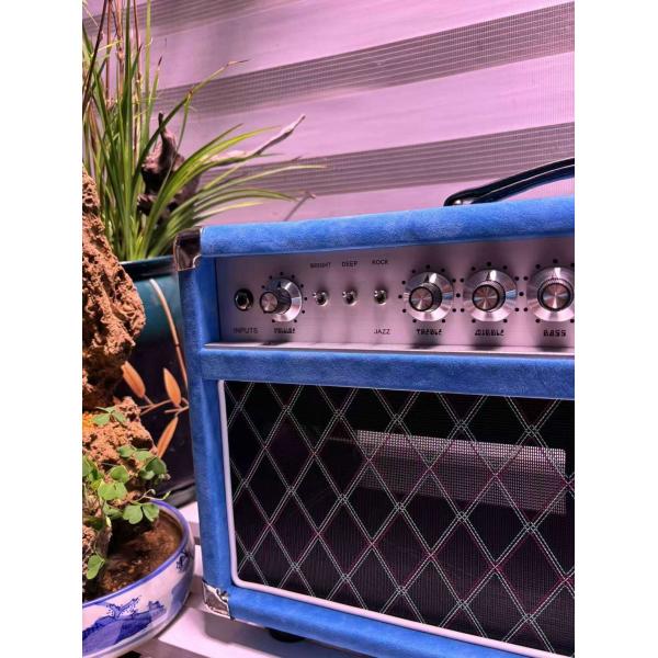 Custom D Style Steel String Singer Head 20W 50W 100W with Suede Blue Color, Grand Amplifier SSS Model