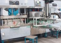 máquina de moldear del cuenco oval de la fiambrera de la celulosa con el robot auto