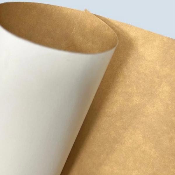 Biodegradable Kraft Paper Food Containers Eco Friendly Packaging Factory