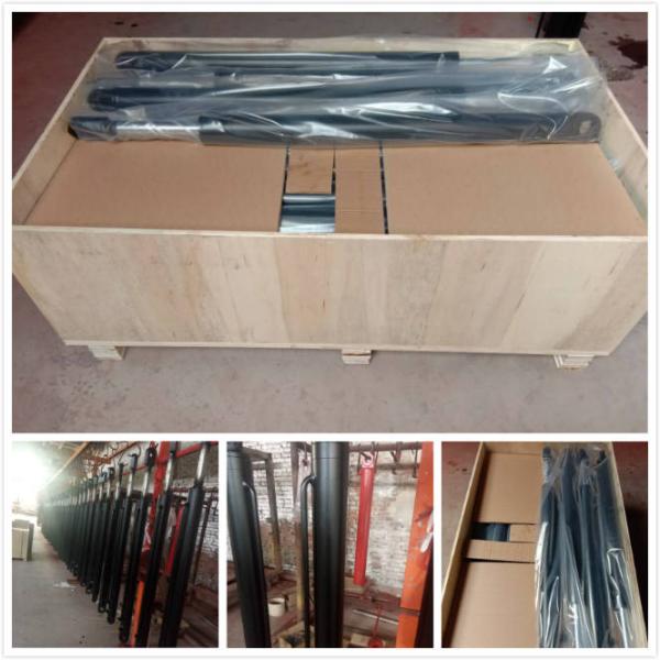 Customized Small Pin eyes 700 mm Stroke Double Acting Hydraulic Cylinder