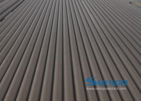 ASTM A790 S31803 DN100 SCH10S Stainless Steel Seamless Pipe 6000M