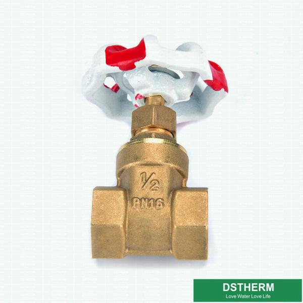 200 válvula de porta de bronze personalizada do estilo grande do WOG BSPT NPT com o punho azul do ferro