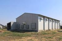 La maison de poulet en acier préfabriqué Q355B tube de cuve et section H