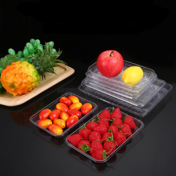 Custom PET Plastic Blister Tray Pallet For Food Fruits Box Packaging Transparent
