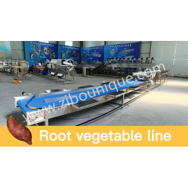 Промышленная автоматическая машина для очистки и очистки яблок от персимона для пищевой промышленности