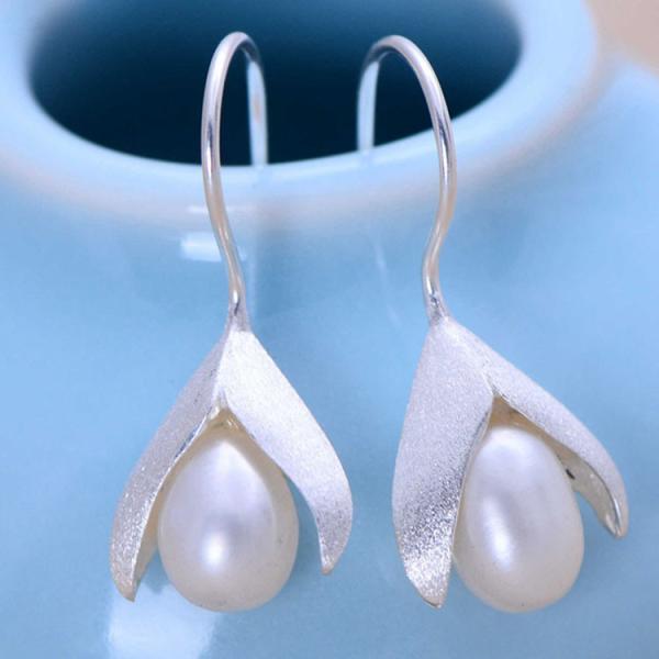 925 Sterling Silver Imitation Pearl Drop Earrings (XH05575)