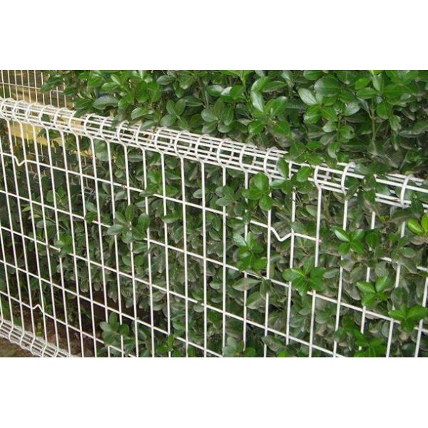 high-quality powder coated double loop wire mesh metal garden fence