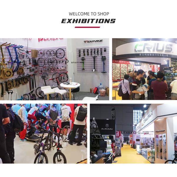 Actividades modernas al aire libre Bicicleta plegable de 20 pulgadas con marco de acero y 7 engranajes de velocidad