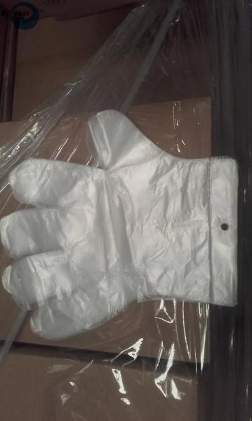 Clear Plastic Gloves, Cryo Protective Gloves, Disposable Food Prep Gloves, Gloves Poly, Production of Gloves