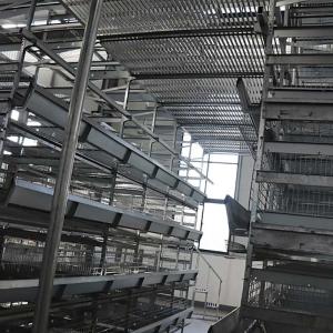 Equipamento agrícola automático da galinha, gaiola da galinha da tecnologia do a
