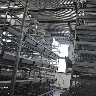 Automatic Chicken Farm Equipment , 380V U Shape Steel Hi Tech Chicken Cage