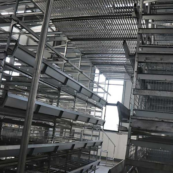 Automatic Chicken Farm Equipment , 380V U Shape Steel Hi Tech Chicken Cage