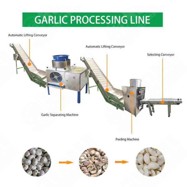 Industrial Automatic garlic peeling machine production line garlic processing machines