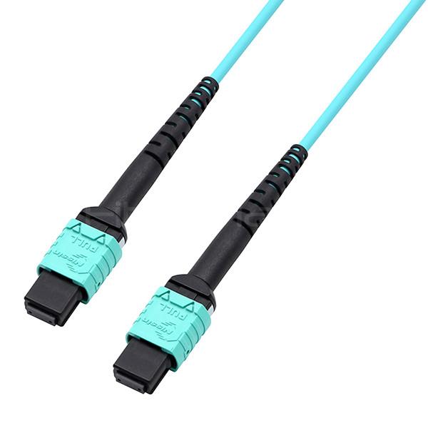 FiberMania Femme à femme 2 x MPO câble de tronc 24 fibres OM3 OFNR Aqua Jack