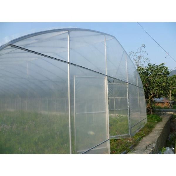 Single Layer Plastic Film Greenhouse Versatile For Agricultural Applications