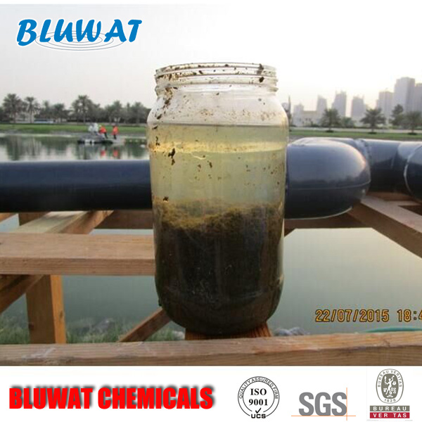 Sewage and Paper Sludge Dewatering Cationic Polyacrylamide Flocculant C8030 Grade