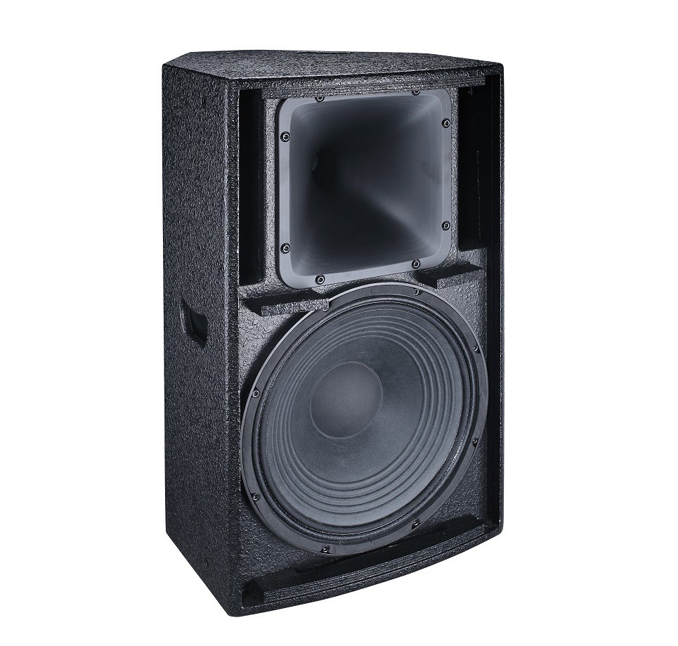 Professional Church Sound Systems Outdoor PA Speakers Bass Bin