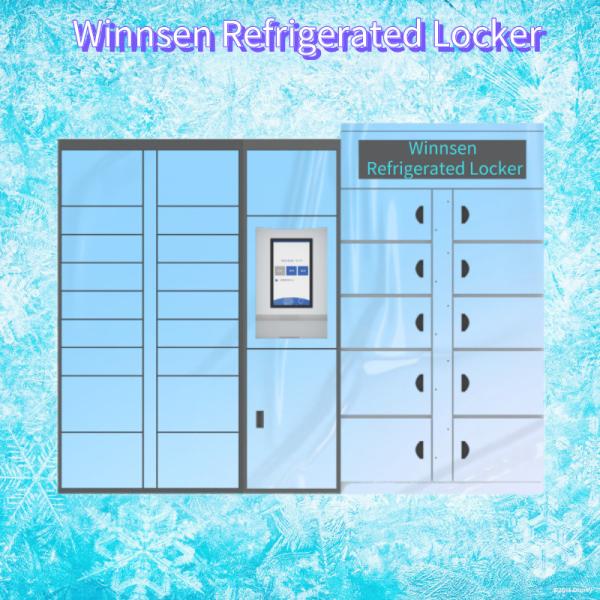 Шкафчик для хранения Winnsen электронный Refrigerated 24 собственной личности часа шкафа обслуживания умного