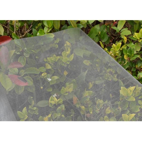 18x14 соткут 13 москит Rolls экрана окна стеклоткани анти-