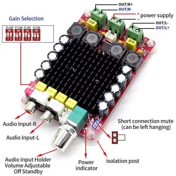Dual Channel 100W Output Audio Amplifier Board with DC14-34V Input and Class D Technology