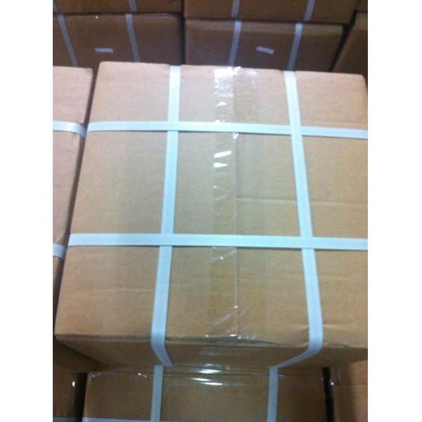 24V Plastic Water Solenoid Valve 2WSL-15 with 3-Year Warranty