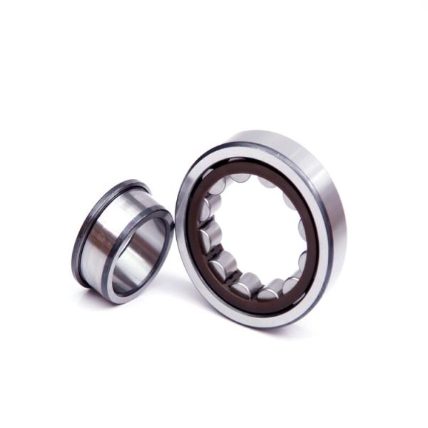 Open Seals Brass Cage Cylinder Roller Bearing NU203 Auto Drawing Steel