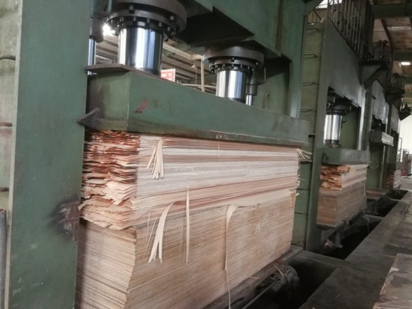 Доска переклейки ODM причудливая подгоняла панель переклейки облицовки черного дерева