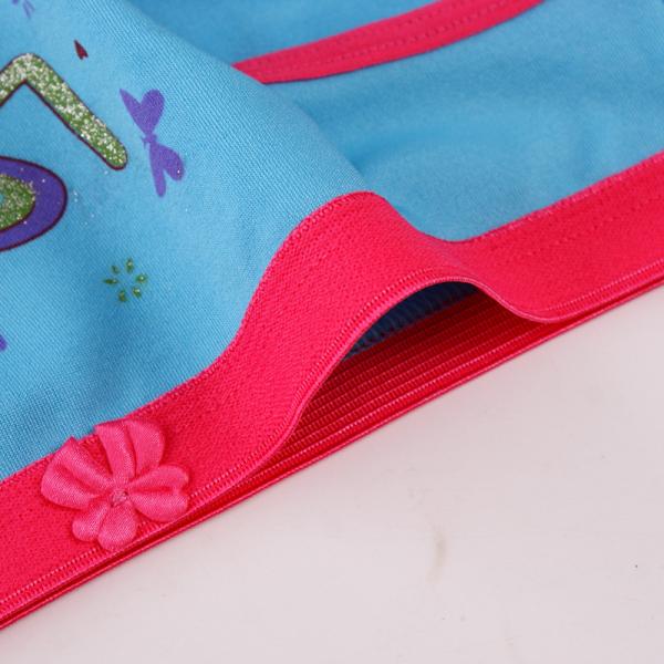 Low end market Chinese blue rose women's underwear