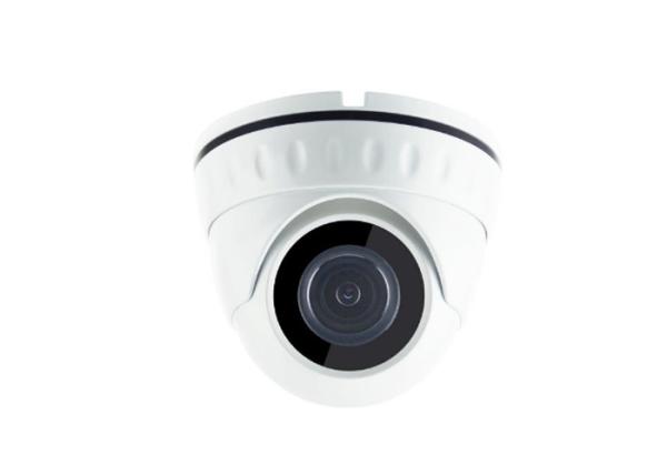 Night Vision 2.0MP Network IP Camera / White Outdoor Dome Security Camera