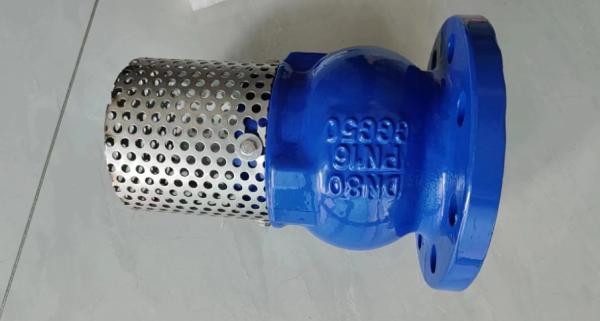 body GGG50 pressure PN16 resilient seal flange foot valve factory