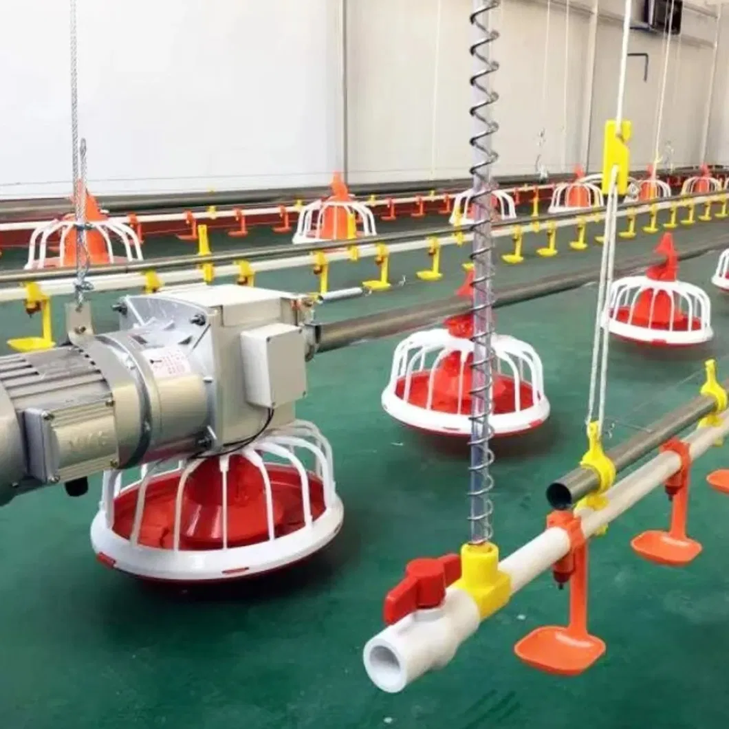 Automatic Poultry Feeding Pan Broiler Farm Floor Raising System